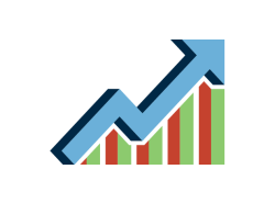 Profit & Loss Review